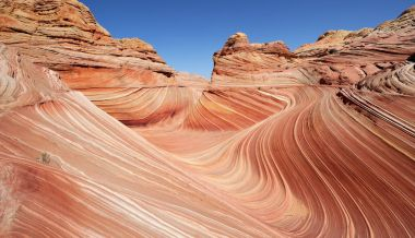 Cosas increíbles que ignoras sobre la naturaleza 1 cosas increibles que ignoras sobre la naturaleza