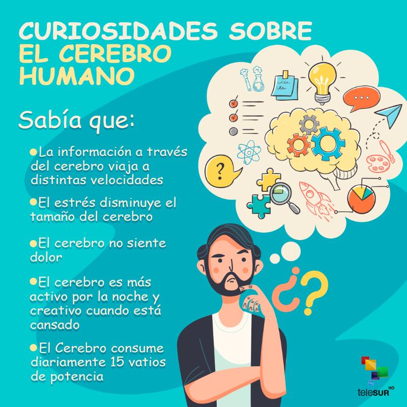 cosas que no sabias de la evolucion humana
