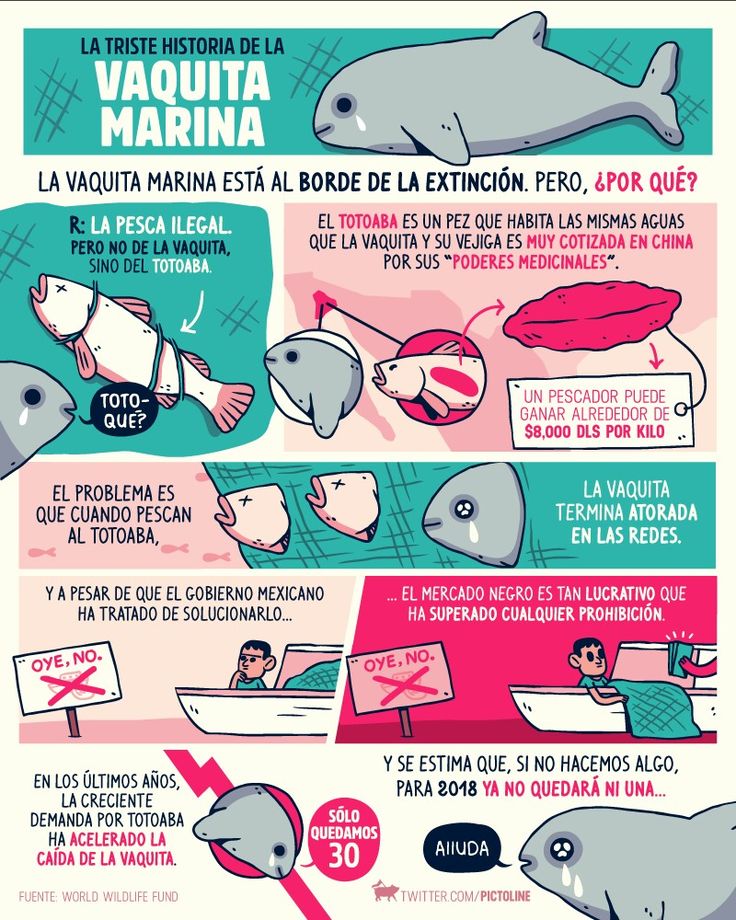Datos increíbles de la biología marina 1 datos increibles de la biologia marina