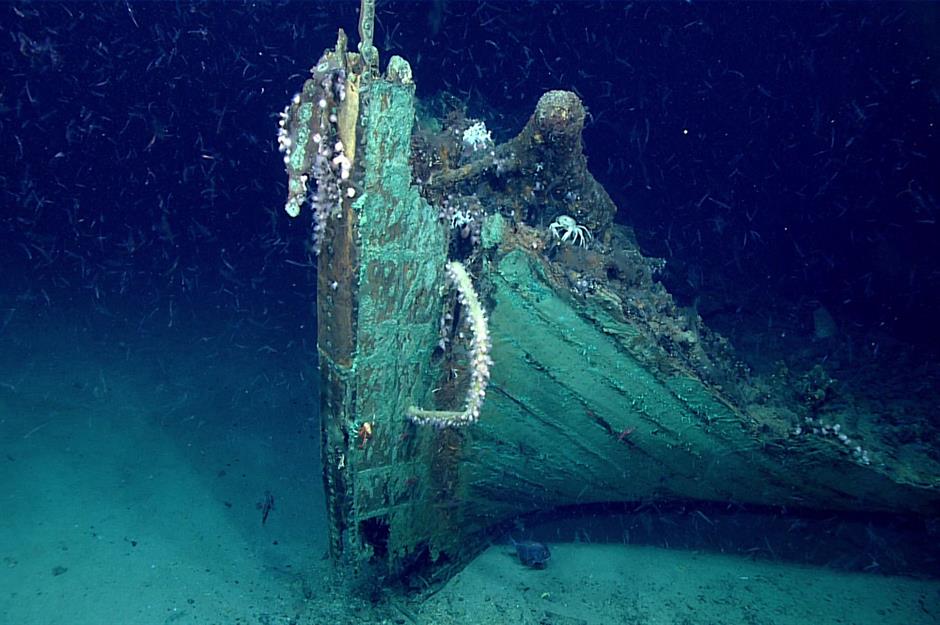 Secretos poco conocidos de los océanos profundos 1 secretos poco conocidos de los oceanos profundos